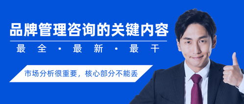 品牌管理咨詢的關(guān)鍵內(nèi)容與目標(biāo)市場分析的重要性