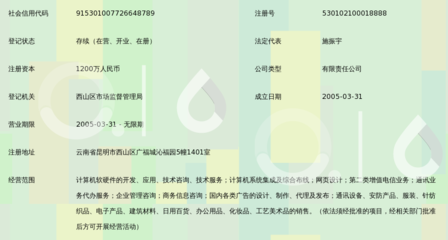 昆明凌宇志達(dá)網(wǎng)絡(luò)科技 專(zhuān)業(yè)信息咨詢(xún)服務(wù)驅(qū)動(dòng)數(shù)字化轉(zhuǎn)型